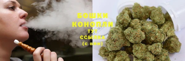 прущие крисы Горняк