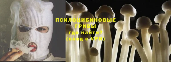 таблы Горнозаводск