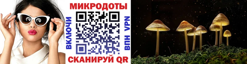 Галлюциногенные грибы Psilocybine cubensis mega Ростов-на-Дону